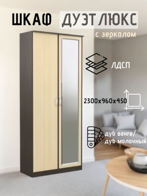 Шкаф 2-х створчатый Дуэт Люкс с зеркалом в Шадринске - shadrinsk.mebel24.online | фото