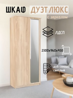 Шкаф 2-х створчатый Дуэт Люкс с зеркалом в Шадринске - shadrinsk.mebel24.online | фото 7