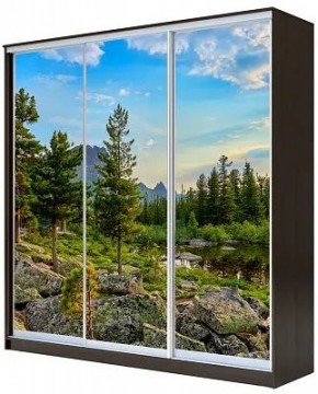 Шкаф-купе ХИТ 22-18/2-777 ПРИРОДА в Шадринске - shadrinsk.mebel24.online | фото