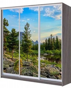 Шкаф-купе ХИТ 22-20/2-777 ПРИРОДА в Шадринске - shadrinsk.mebel24.online | фото