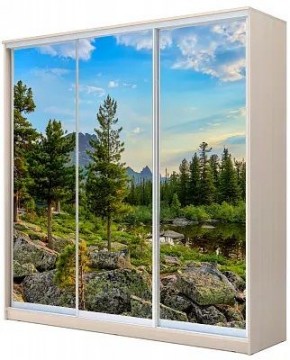 Шкаф-купе ХИТ 22-20-777 ПРИРОДА в Шадринске - shadrinsk.mebel24.online | фото