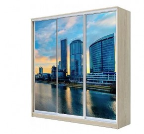 Шкаф-купе ХИТ 22-4-20-777 ЕКАТЕРИНБУРГ в Шадринске - shadrinsk.mebel24.online | фото