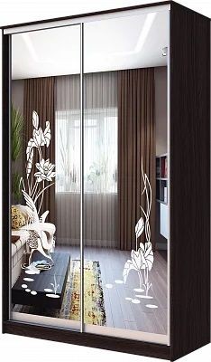Шкаф-купе ХИТ 23-17-66 ЦАПЛИ в Шадринске - shadrinsk.mebel24.online | фото