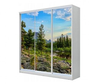 Шкаф-купе ХИТ 23-18-777 (620) в Шадринске - shadrinsk.mebel24.online | фото