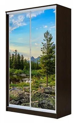 Шкаф-купе ХИТ 23-4-15-77 ПРИРОДА в Шадринске - shadrinsk.mebel24.online | фото