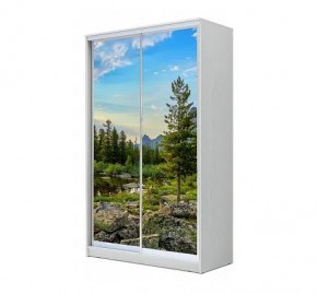 Шкаф-купе ХИТ 24-12/2-77 (620) в Шадринске - shadrinsk.mebel24.online | фото