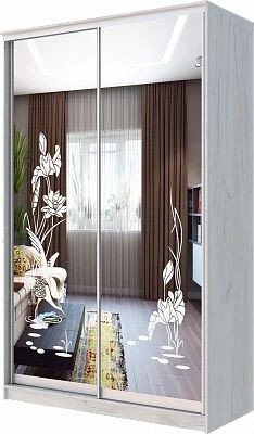 Шкаф-купе ХИТ 24-14-66 ЦАПЛИ в Шадринске - shadrinsk.mebel24.online | фото