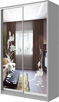 Шкаф-купе ХИТ 24-17-66 ЦАПЛИ в Шадринске - shadrinsk.mebel24.online | фото