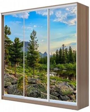 Шкаф-купе ХИТ 24-20/2-777 ПРИРОДА в Шадринске - shadrinsk.mebel24.online | фото