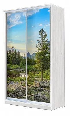 Шкаф-купе ХИТ 24-4-15-77 ПРИРОДА в Шадринске - shadrinsk.mebel24.online | фото
