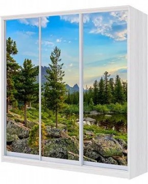 Шкаф-купе ХИТ 24-4-18-777 ПРИРОДА в Шадринске - shadrinsk.mebel24.online | фото