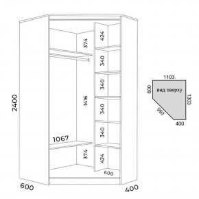Шкаф-купе ХИТ-У-L-24-64-55 в Шадринске - shadrinsk.mebel24.online | фото 3