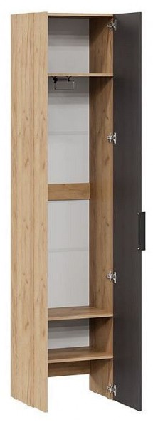 Шкаф платяной Асти в Шадринске - shadrinsk.mebel24.online | фото 2