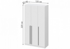 Шкаф платяной Бирма ШК-1200 в Шадринске - shadrinsk.mebel24.online | фото 4