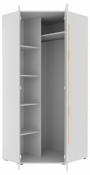 Шкаф платяной Куба 1725.М3 в Шадринске - shadrinsk.mebel24.online | фото 11
