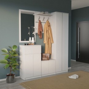 Шкаф платяной ШО-4 в Шадринске - shadrinsk.mebel24.online | фото 6