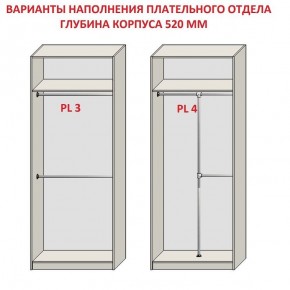 Шкаф распашной серия «ЗЕВС» (PL3/С1/PL2) в Шадринске - shadrinsk.mebel24.online | фото 10