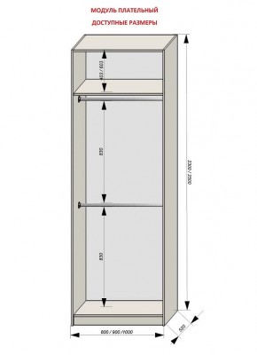 Шкаф распашной серия «ЗЕВС» (PL3/С1/PL2) в Шадринске - shadrinsk.mebel24.online | фото 12