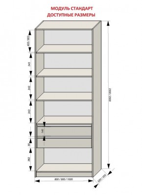 Шкаф распашной серия «ЗЕВС» (PL3/С1/PL2) в Шадринске - shadrinsk.mebel24.online | фото 13