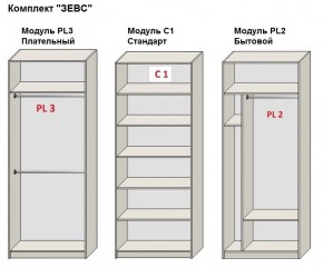 Шкаф распашной серия «ЗЕВС» (PL3/С1/PL2) в Шадринске - shadrinsk.mebel24.online | фото 2