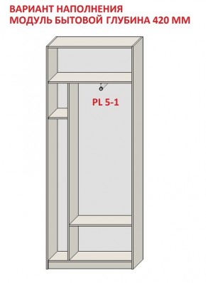 Шкаф распашной серия «ЗЕВС» (PL3/С1/PL2) в Шадринске - shadrinsk.mebel24.online | фото 4