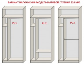 Шкаф распашной серия «ЗЕВС» (PL3/С1/PL2) в Шадринске - shadrinsk.mebel24.online | фото 5