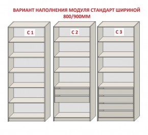 Шкаф распашной серия «ЗЕВС» (PL3/С1/PL2) в Шадринске - shadrinsk.mebel24.online | фото 6