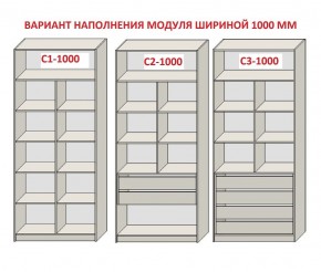 Шкаф распашной серия «ЗЕВС» (PL3/С1/PL2) в Шадринске - shadrinsk.mebel24.online | фото 7