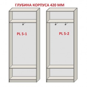 Шкаф распашной серия «ЗЕВС» (PL3/С1/PL2) в Шадринске - shadrinsk.mebel24.online | фото 8