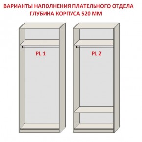 Шкаф распашной серия «ЗЕВС» (PL3/С1/PL2) в Шадринске - shadrinsk.mebel24.online | фото 9