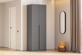 Шкаф ШК-5 (800) Графит серый в Шадринске - shadrinsk.mebel24.online | фото 1