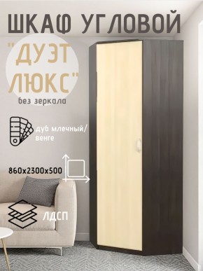 Шкаф угловой Дуэт Люкс без зеркала в Шадринске - shadrinsk.mebel24.online | фото 3