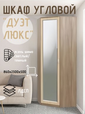 Шкаф угловой Дуэт Люкс с зеркалом в Шадринске - shadrinsk.mebel24.online | фото 3