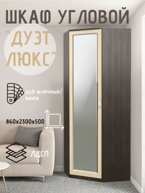Шкаф угловой Дуэт Люкс с зеркалом в Шадринске - shadrinsk.mebel24.online | фото 5