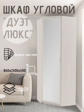 Шкаф угловой Дуэт Люкс с зеркалом в Шадринске - shadrinsk.mebel24.online | фото 6