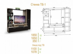 Стенка для гостиной ТВ-1 в Шадринске - shadrinsk.mebel24.online | фото 2