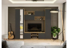 Стенки для гостиной Бертелена в Шадринске - shadrinsk.mebel24.online | фото 2