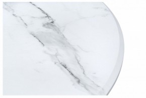 Стол обеденный Абилин в Шадринске - shadrinsk.mebel24.online | фото 4