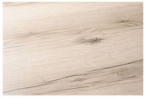 Стол обеденный Тринити Лофт в Шадринске - shadrinsk.mebel24.online | фото 5