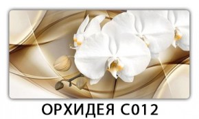 Стол раздвижной Трилогия с фотопечатью Доска D113 в Шадринске - shadrinsk.mebel24.online | фото 13