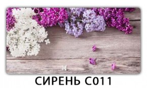 Стол раздвижной Трилогия с фотопечатью Доска D113 в Шадринске - shadrinsk.mebel24.online | фото 16