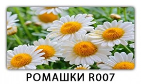 Стол раздвижной Трилогия с фотопечатью Орхидея C013 в Шадринске - shadrinsk.mebel24.online | фото 15