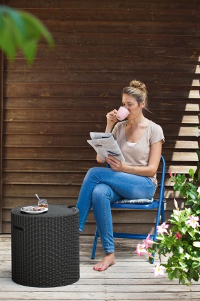 Столик-холодильник Кул-Стул (Cool stool) коричневый в Шадринске - shadrinsk.mebel24.online | фото 2