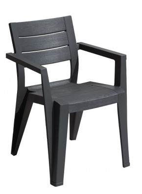 Стул Джули (Julie dining chair) графит в Шадринске - shadrinsk.mebel24.online | фото