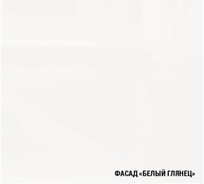 ТЕРЦИЯ Кухонный гарнитур Медиум 2 (1400 мм) в Шадринске - shadrinsk.mebel24.online | фото 6