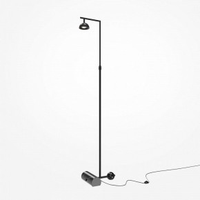 Торшер Maytoni Pikant MOD372FL-L10B3K в Шадринске - shadrinsk.mebel24.online | фото 2