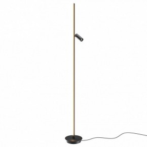 Торшер Maytoni Thin MOD395FL-L28B3K в Шадринске - shadrinsk.mebel24.online | фото