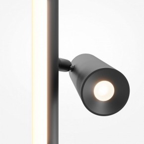 Торшер Maytoni Thin MOD395FL-L28B3K в Шадринске - shadrinsk.mebel24.online | фото 6