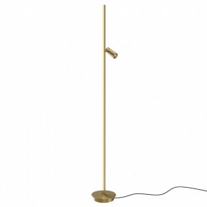 Торшер Maytoni Thin MOD395FL-L28BS3K в Шадринске - shadrinsk.mebel24.online | фото