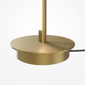 Торшер Maytoni Thin MOD395FL-L28BS3K в Шадринске - shadrinsk.mebel24.online | фото 7